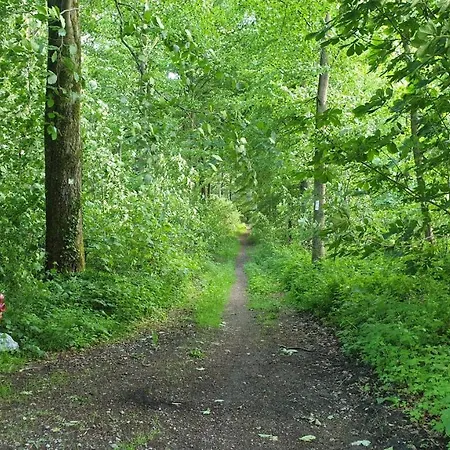 Apartamento Frühling In Der Waldrand Mit Großem Garten *