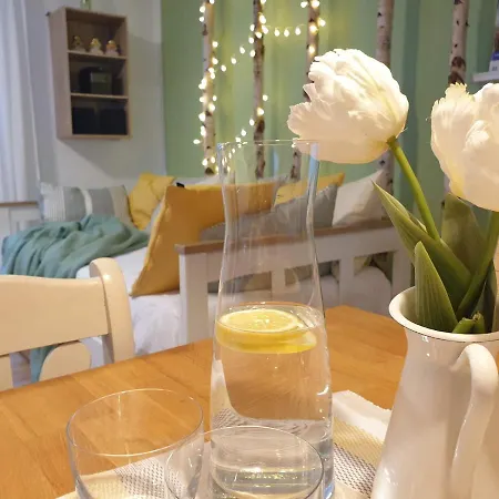 Fruehling In Der Waldrand Mit Grossem Garten