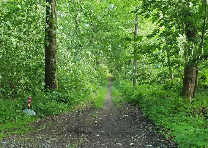 Daire Fruehling In Der Waldrand Mit Grossem Garten *